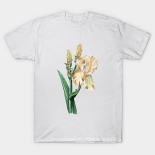 Iris T-Shirt